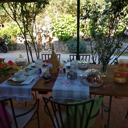 Bed & Breakfast Petalo Rosso