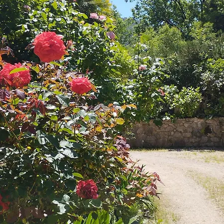 Bed & Breakfast Petalo Rosso *