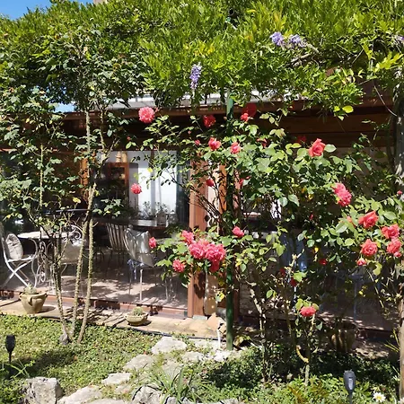 Petalo Rosso 3* Lenola