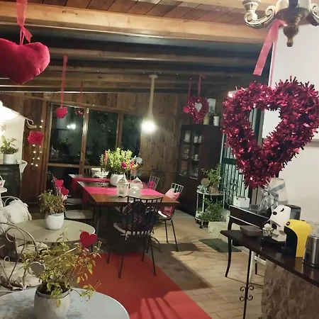 Petalo Rosso *