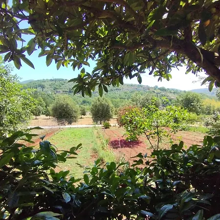 Petalo Rosso Bed & Breakfast Lenola