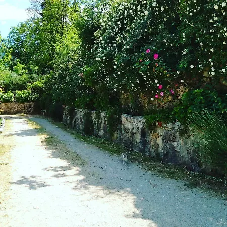 Petalo Rosso Bed & Breakfast *